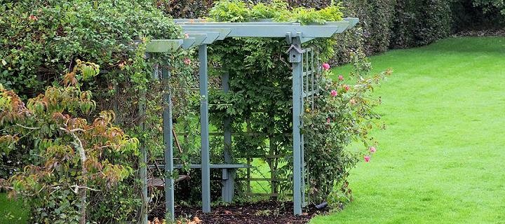 garden52