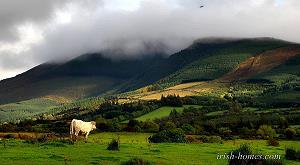 Silvermine mountains