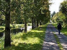 Loop Walk O'Briensbridge